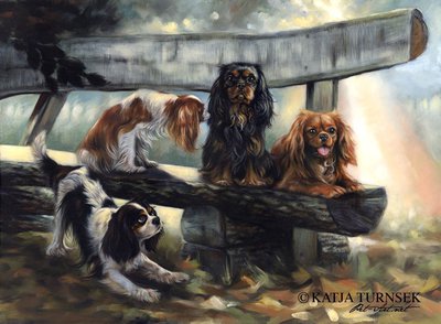 Питомник Daily Paradize